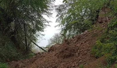 HEYELAN’DAN DOLAYI YOLU KAPANAN TOYFANLI KÖYÜ MUHTARINDAN HABER VAR!