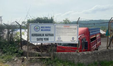 KURBAN PAZARI DENETLENDİ, KURBAN YAKALAMA TİMİ KURULDU