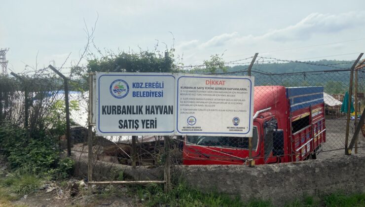 KURBAN PAZARI DENETLENDİ, KURBAN YAKALAMA TİMİ KURULDU