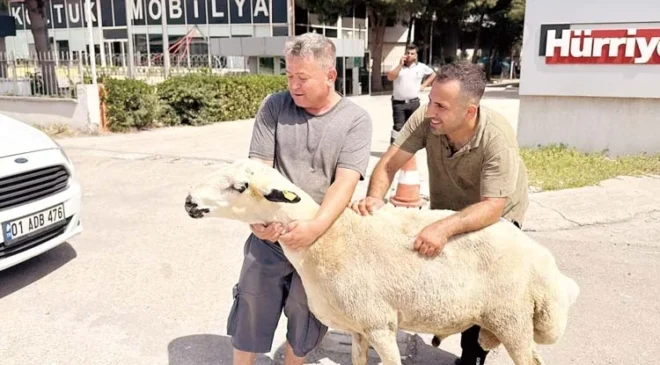 ACEMİ KASAPLAR HASTANEYE KOŞTU!