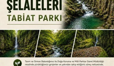 KAYALIDERE TABİAT PARKI İLAN EDİLDİ