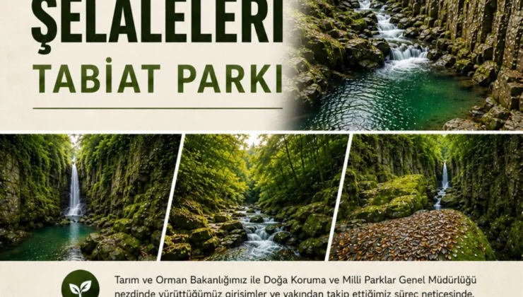 KAYALIDERE TABİAT PARKI İLAN EDİLDİ
